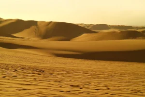 Top Desert Adventure Rides on Buggy & Quad | Quad Bike Rental Dubai
