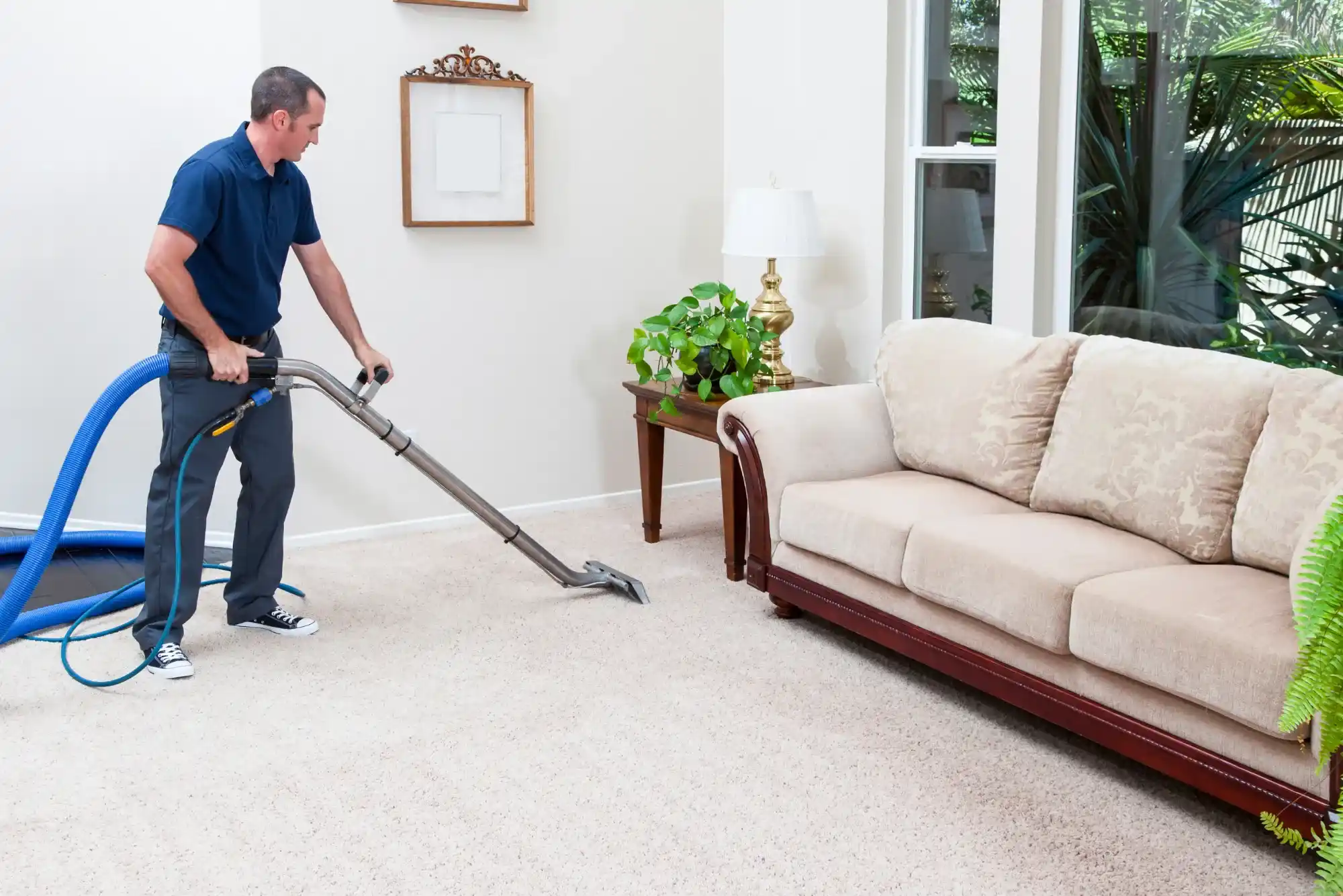 Why Vancouverites Love This Carpet Cleaning Service!