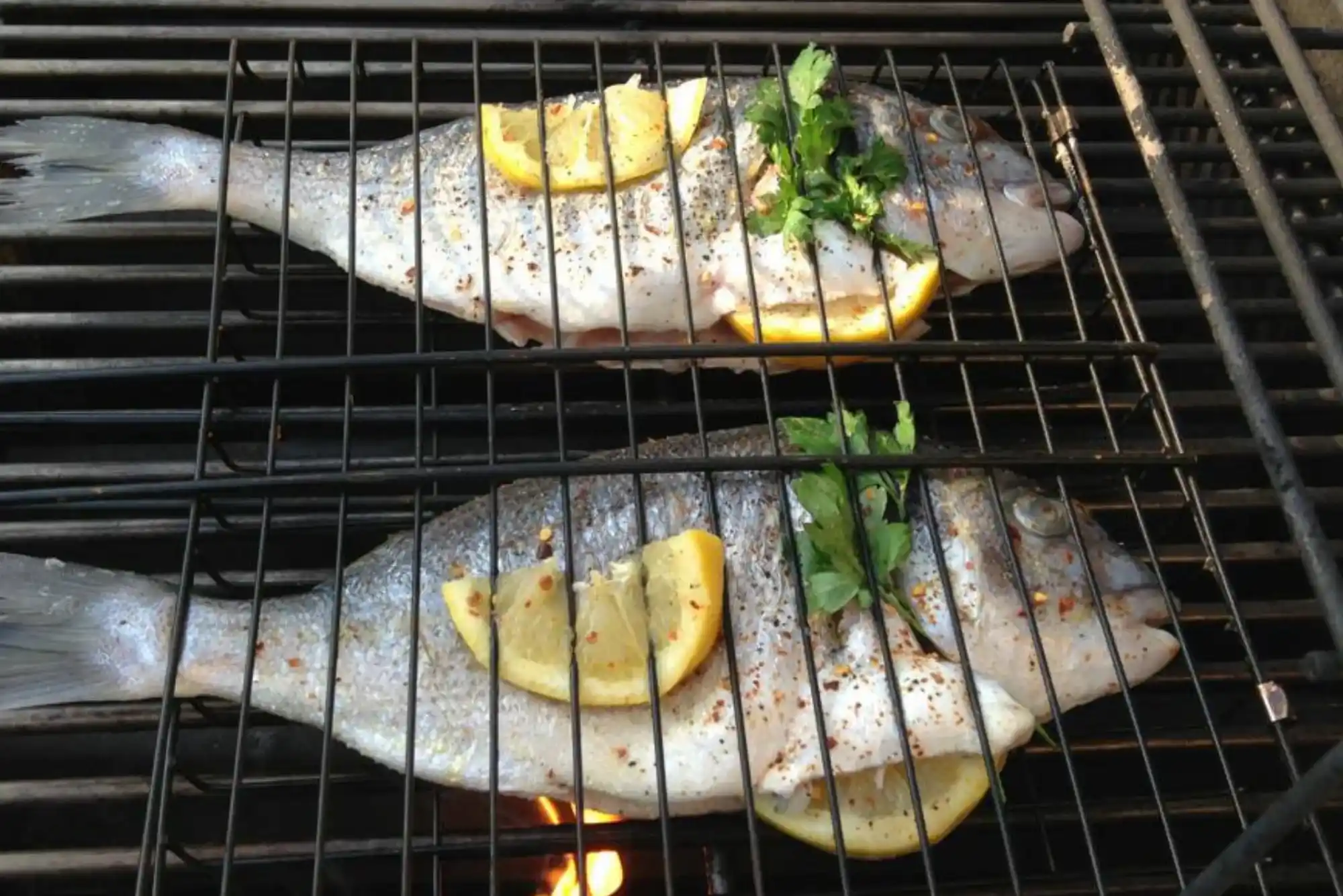 Ultimate showdown hamour fish benefits UAE