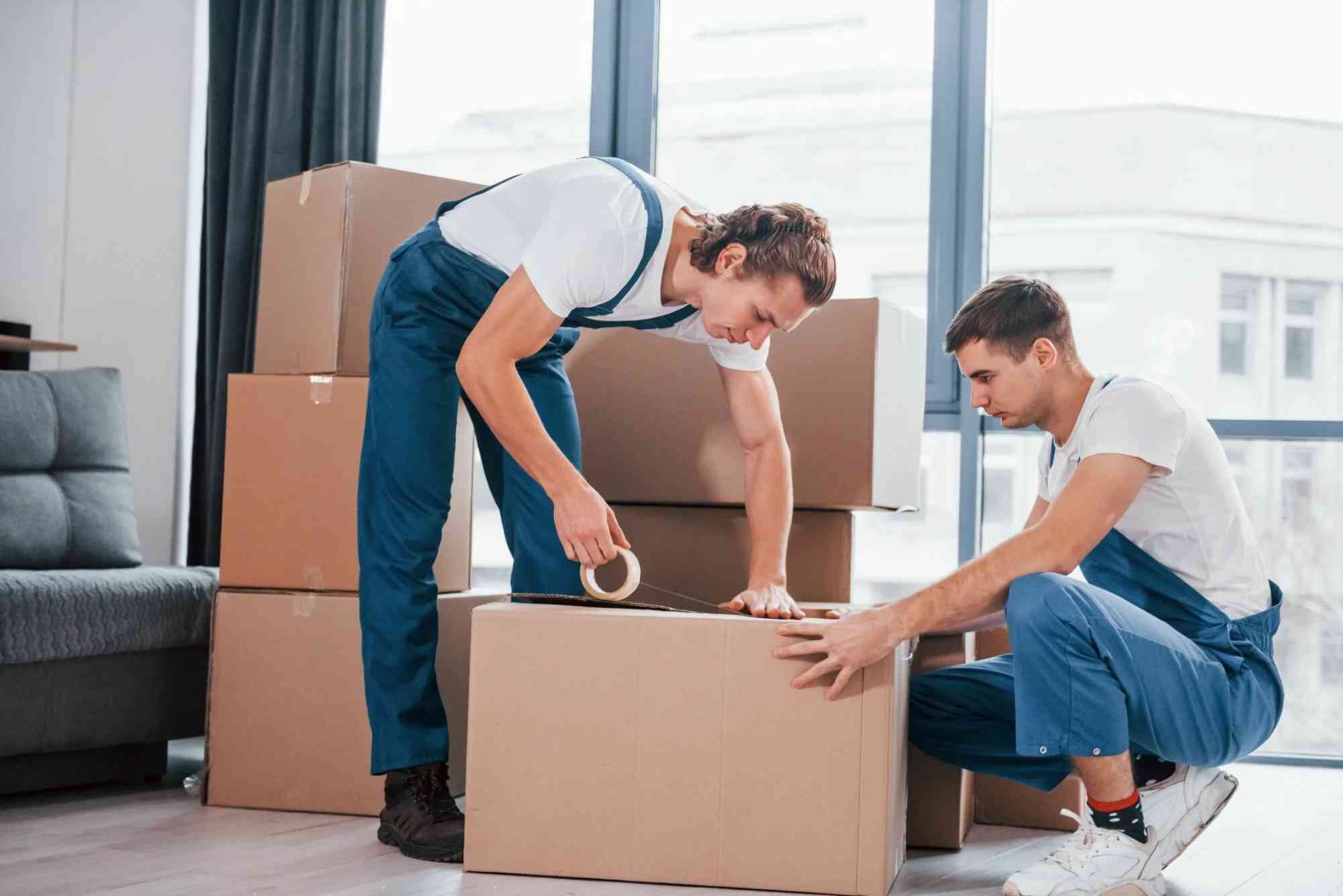 Why Choose Professional Movers in Dubai