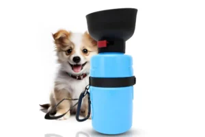 Best Portable Dog Water Bottles and Collapsible Bowls for Hiking