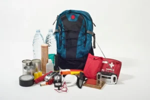 How to Prepare a Pet First Aid Kit for Hiking, Road Trips, and Travel