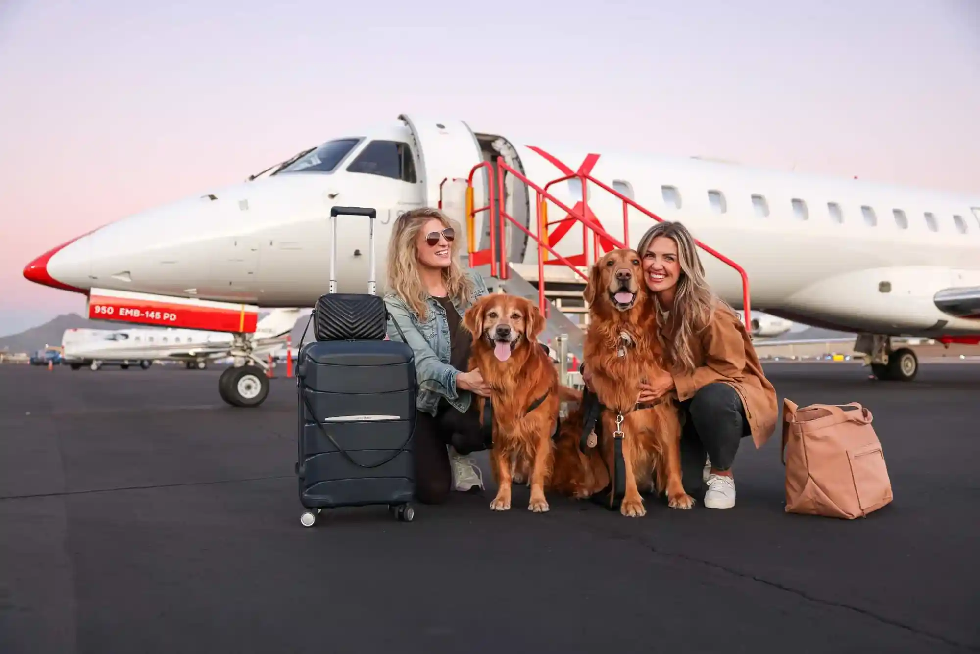 How to Fly with an Emotional Support Animal (ESA) vs Psychiatric Service Dog (PSD)