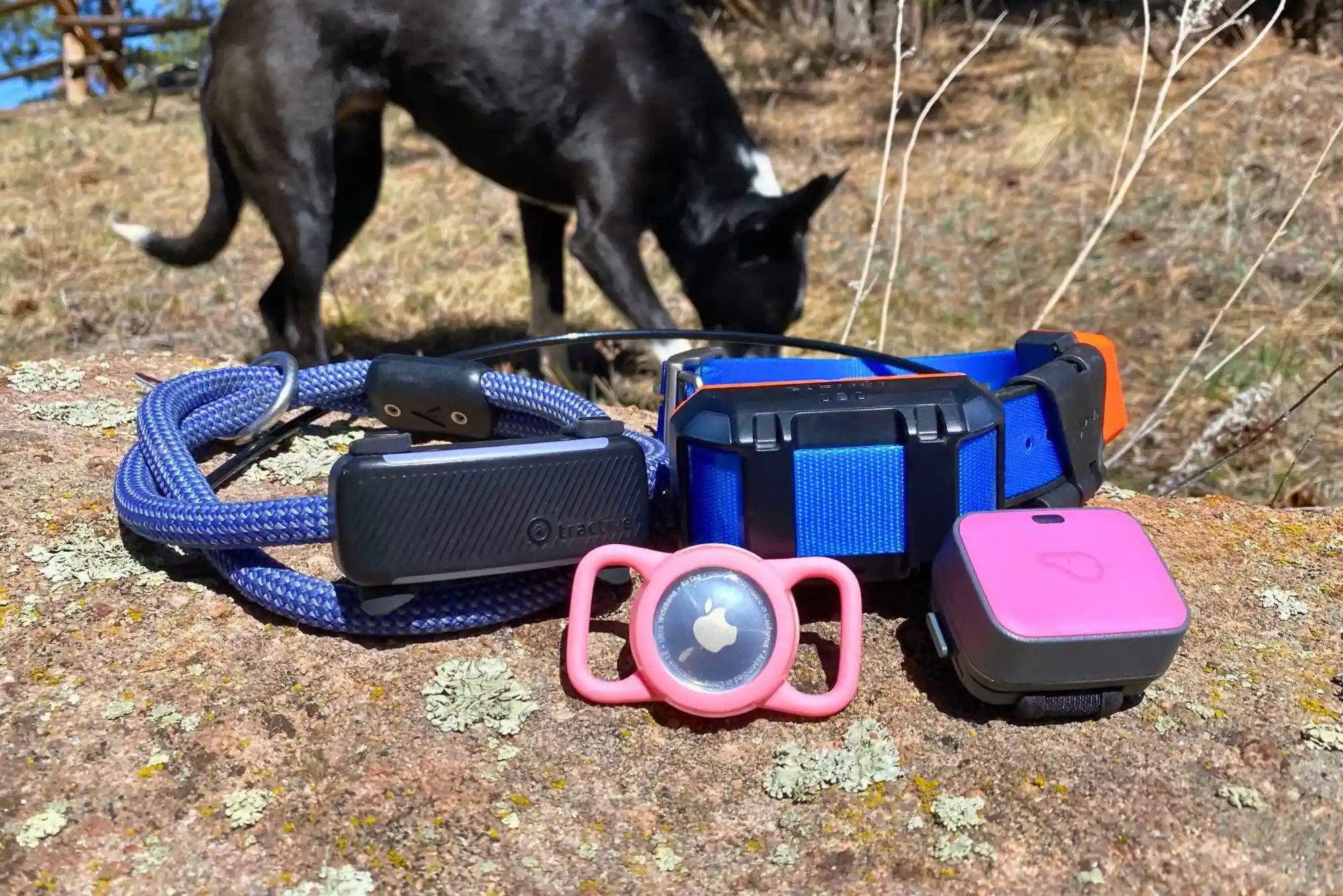 Best GPS Dog Trackers for Traveling: Cellular, Bluetooth, and Satellite